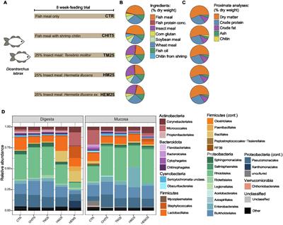 Differential Modulation of the European Sea Bass Gut Microbiota by Distinct Insect Meals